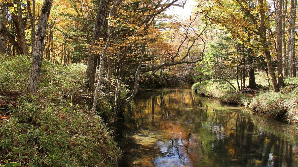Trải nghiệm địa phương tại Nikko, Tochigi, Nhật Bản