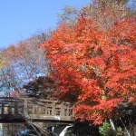 Nikko, Tochigi, Nhật Bản