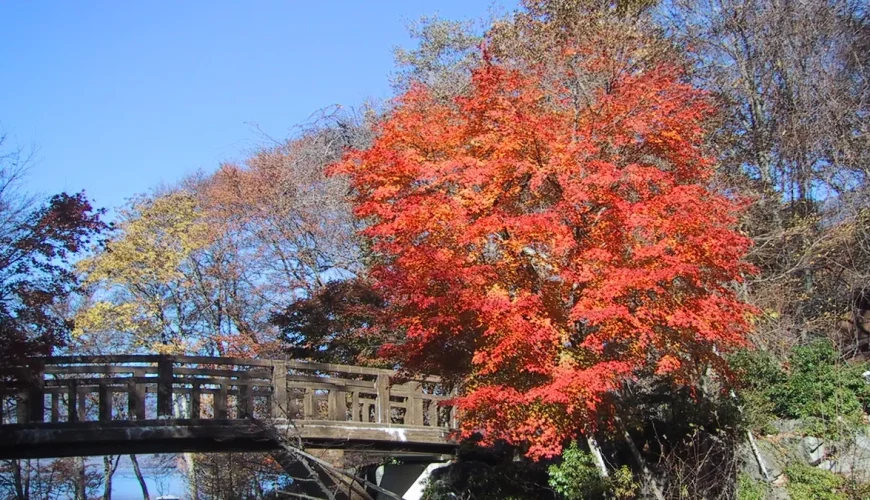 Nikko, Tochigi, Nhật Bản