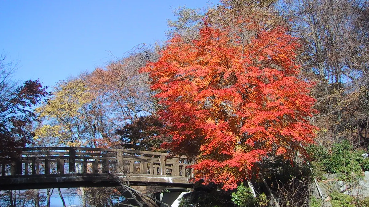 Nikko, Tochigi, Nhật Bản
