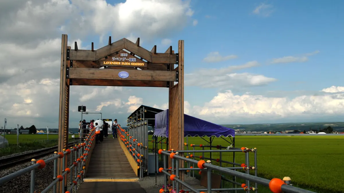 Tuyến tham quan tại Furano – Biei, Hokkaido, Nhật Bản
