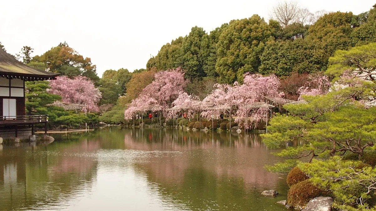 Trải nghiệm địa phương tại Kyoto, Nhật Bản