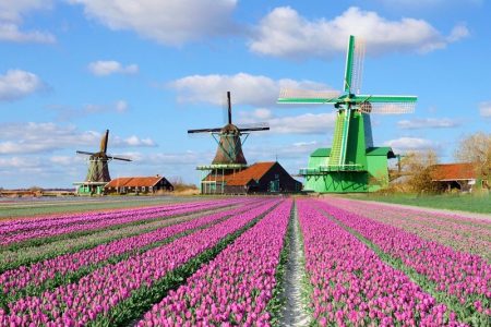 PHÁP – BỈ – HÀ LAN – ĐỨC – THỤY SỸ – Ý