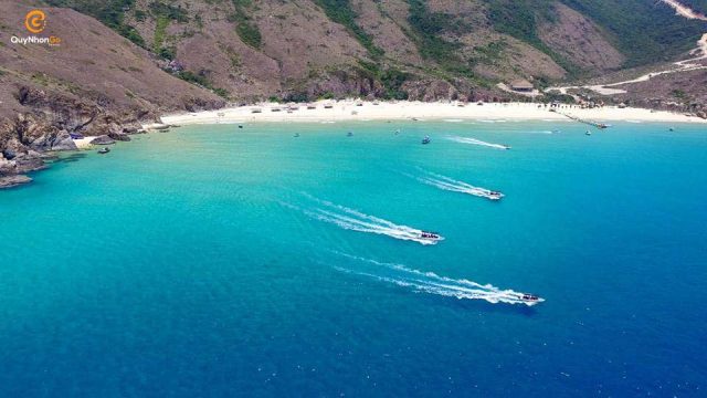 bai-tam-ky-co-quynhon