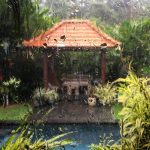 Bali Di Mua Nao Dep 1223 2