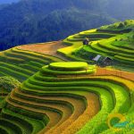 Danh Thuc Ve Dep Hoang Su Phi 795 2