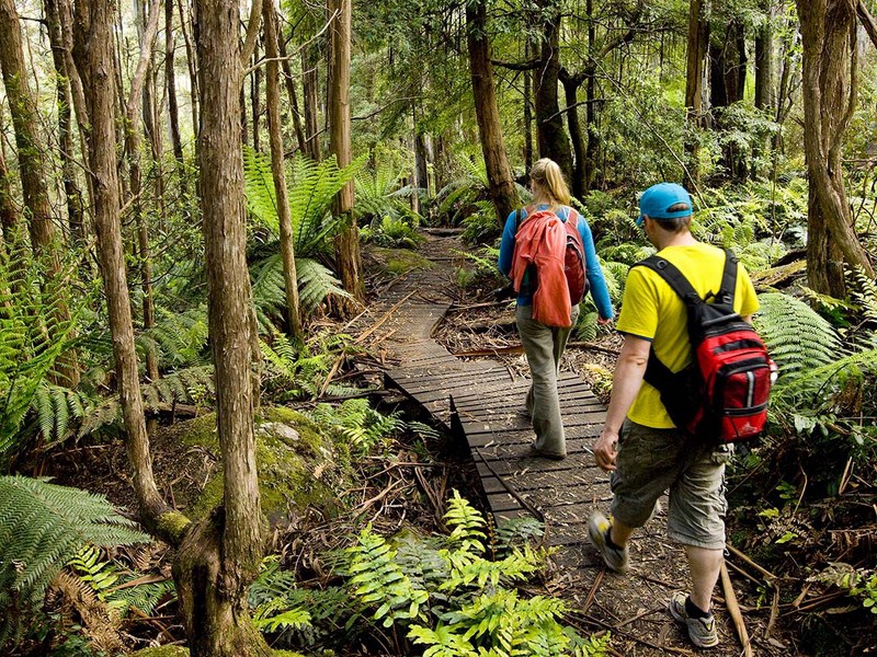 Day Nui Dandenong The Dandenong Ranges 785 1