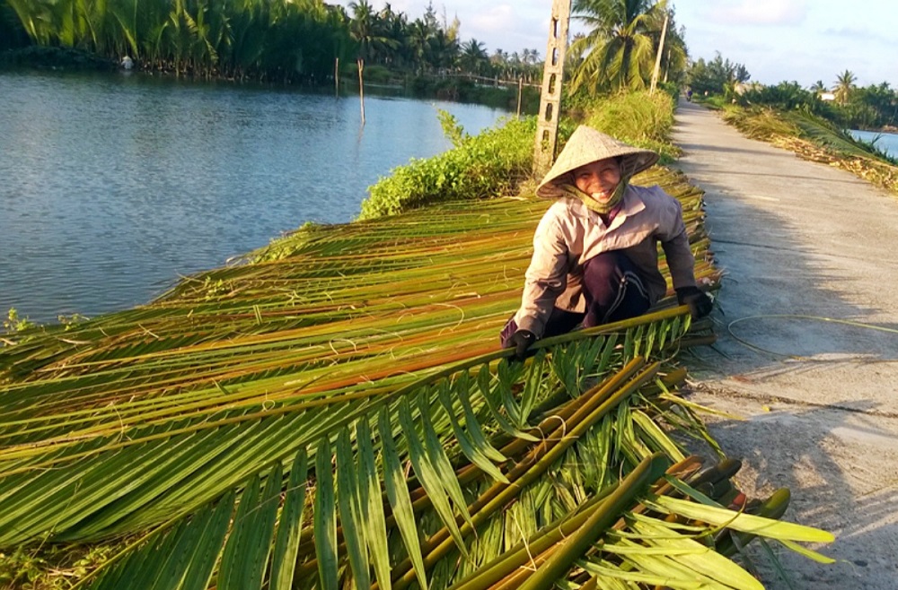 Rừng dừa Bảy Mẫu Hội An