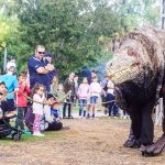 So Thu Melbourne Melbourne Zoo 781 1