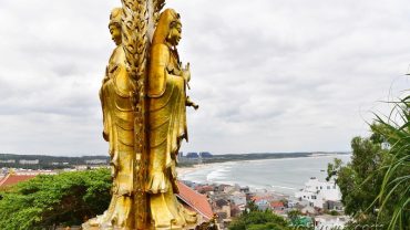 Tich Xa Ngoc Hoa Quy Nhon 1654 1