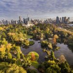 Vuon Bach Thao Hoang Gia Melbourne Melbourne Royal Botanic Gardens 779 1