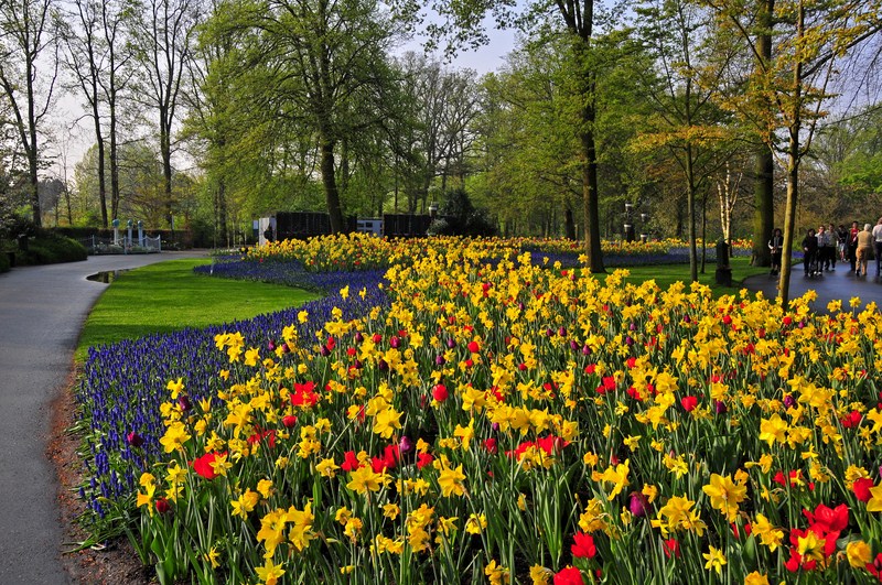 Vườn hoa Keukenhof - Hà lan