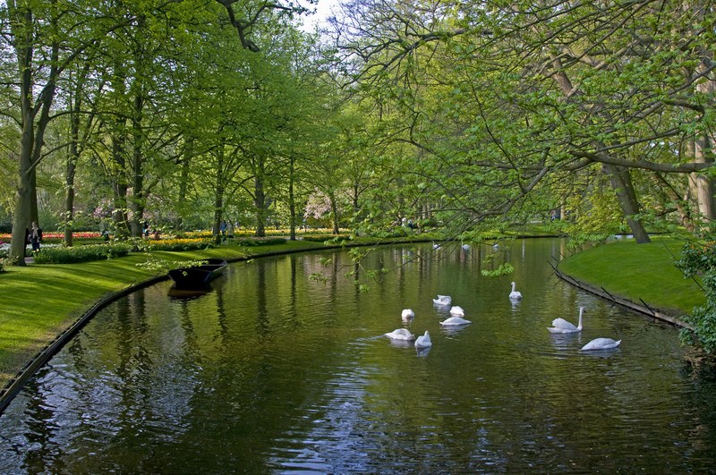 Vườn hoa Keukenhof - Hà lan