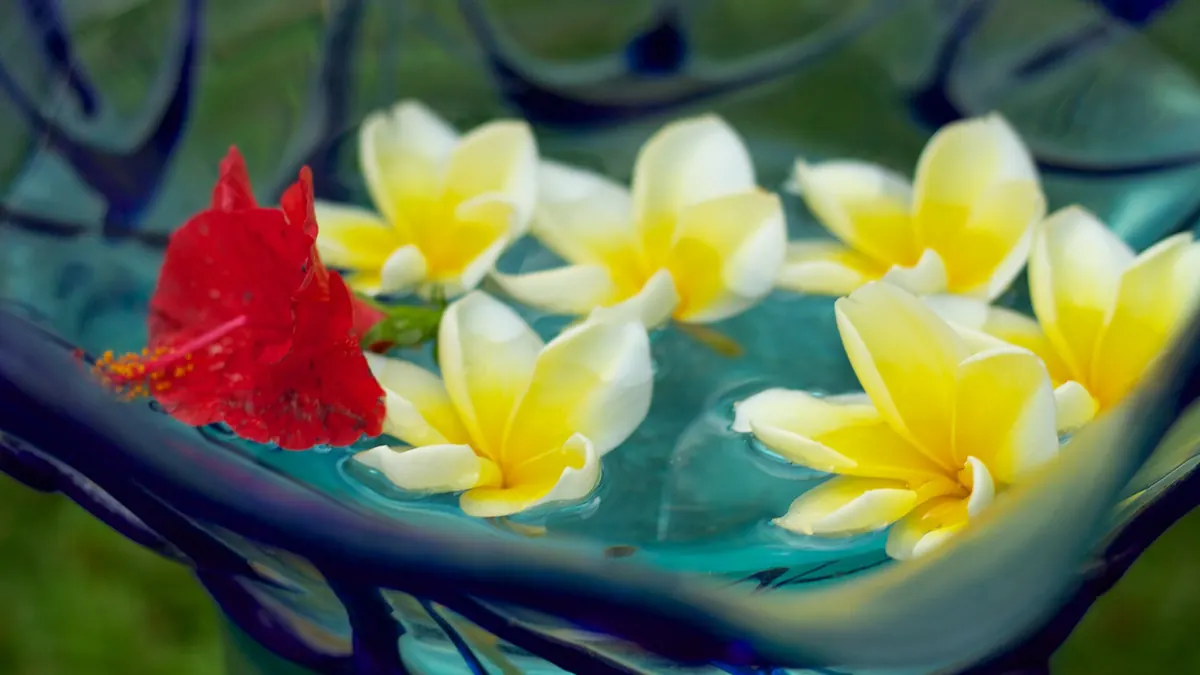 Trải nghiệm địa phương tại Ubud, Bali, Indonesia