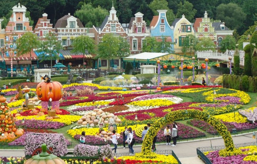 Hà Nội – Seoul – Nami – Everland – Seoul (KHÁM PHÁ MÙA THU LÁ VÀNG, LÁ ĐỎ)