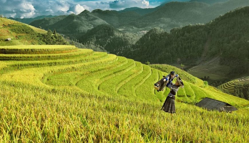 MÙ CANG CHẢI – ĐÈO KHAU PHẠ – TÚ LỆ – TRẠM TẤU