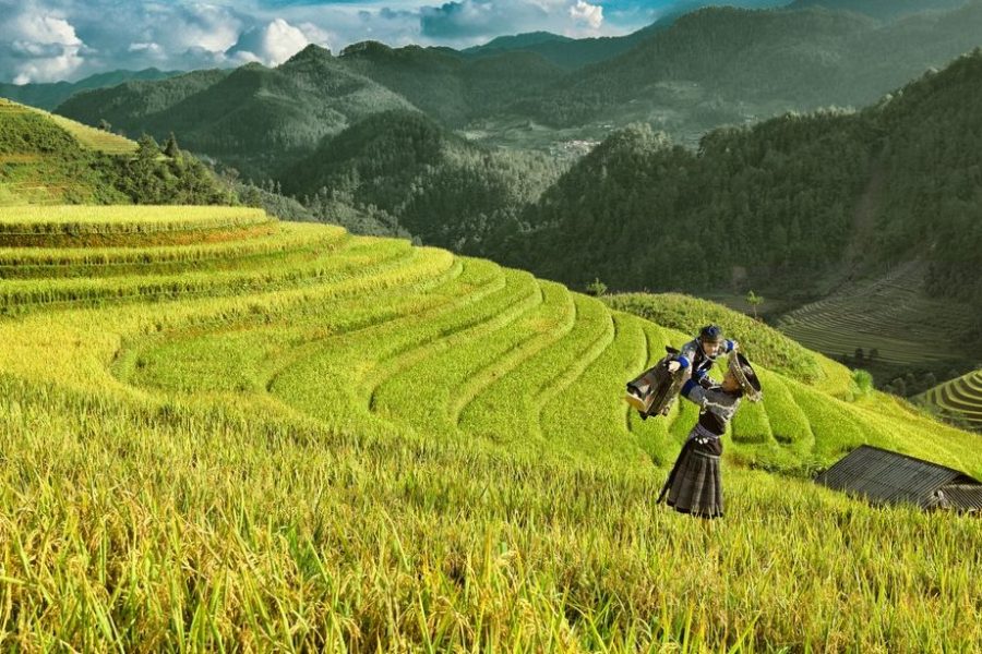 MÙ CANG CHẢI – ĐÈO KHAU PHẠ – TÚ LỆ – TRẠM TẤU