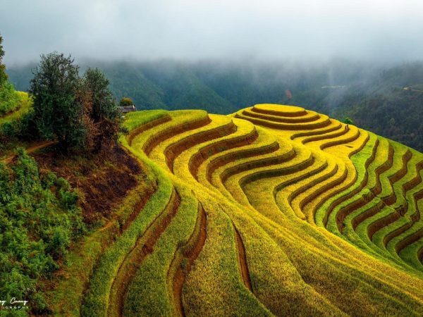 Mucangchai_11 Mucangchai_11