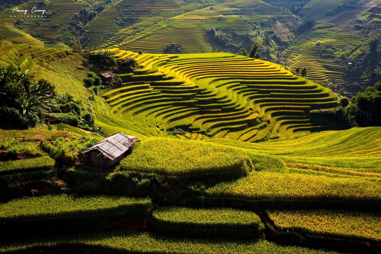 NGÀY 1: Hà Nội -Mù Căng Chải