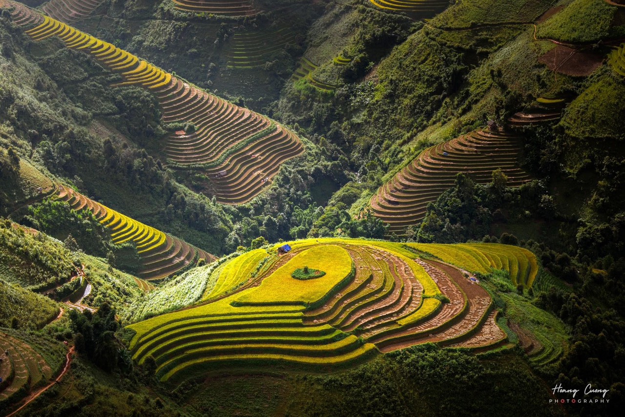 NGÀY 2: Mù Căng Chải - Đồi Mâm Xôi - Móng Ngựa