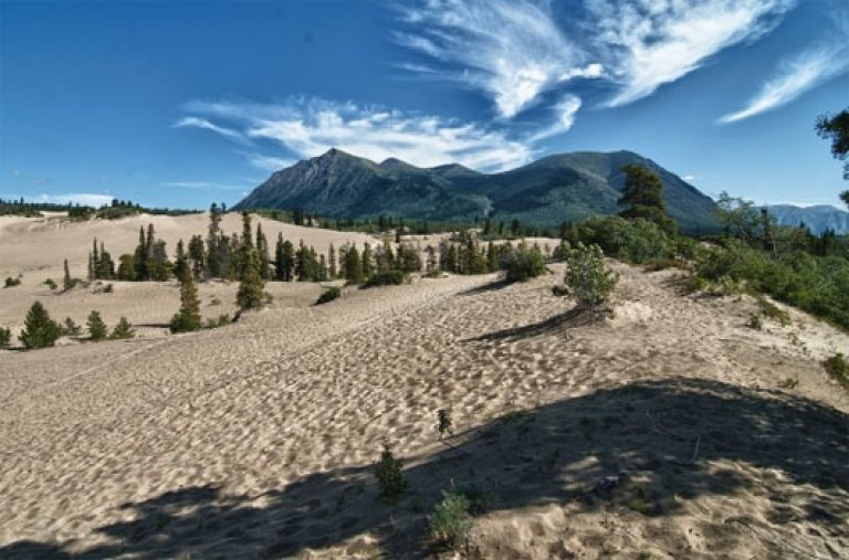 Sa mạc Carcross, Canada