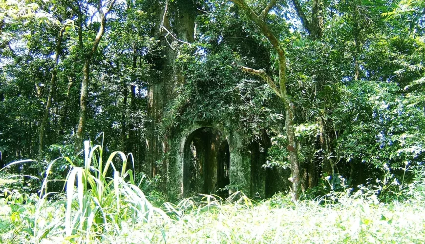 Ba Vì, Việt Nam