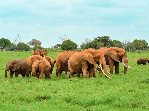 damian-patkowski-yABuQgOY2js-unsplash-1.jpg damian-patkowski-yABuQgOY2js-unsplash-1.jpg