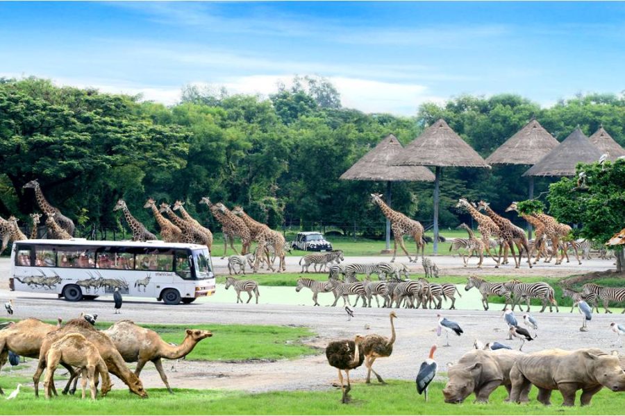 BANGKOK – SAFARI WORLD – PATTAYA