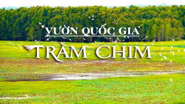 Vườn quốc gia Tràm Chim